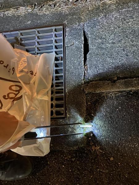 いつかコラボしたい！ゾロ像が来る公園で！画像