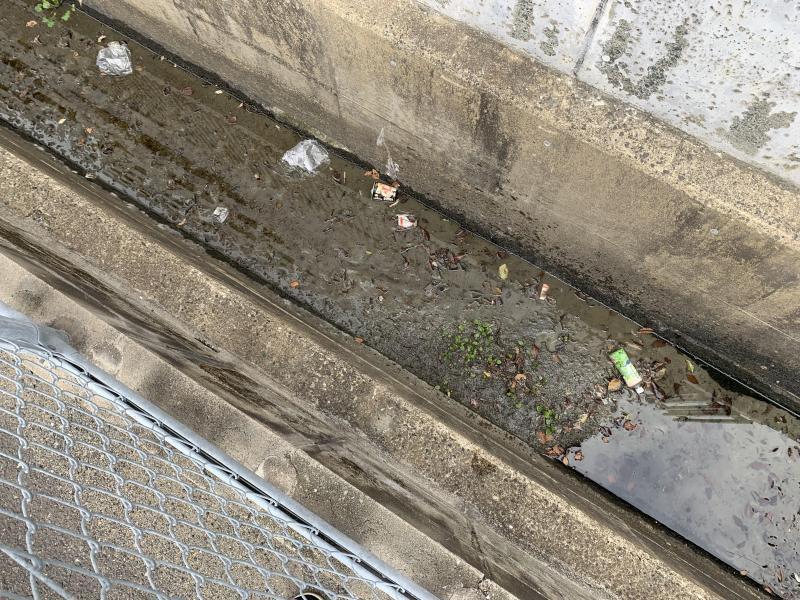 2/23パトランさんとランランコラボそうじ画像