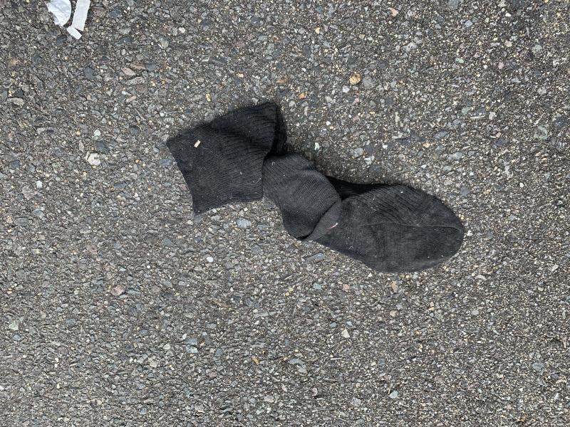 2/23パトランさんとランランコラボそうじ画像