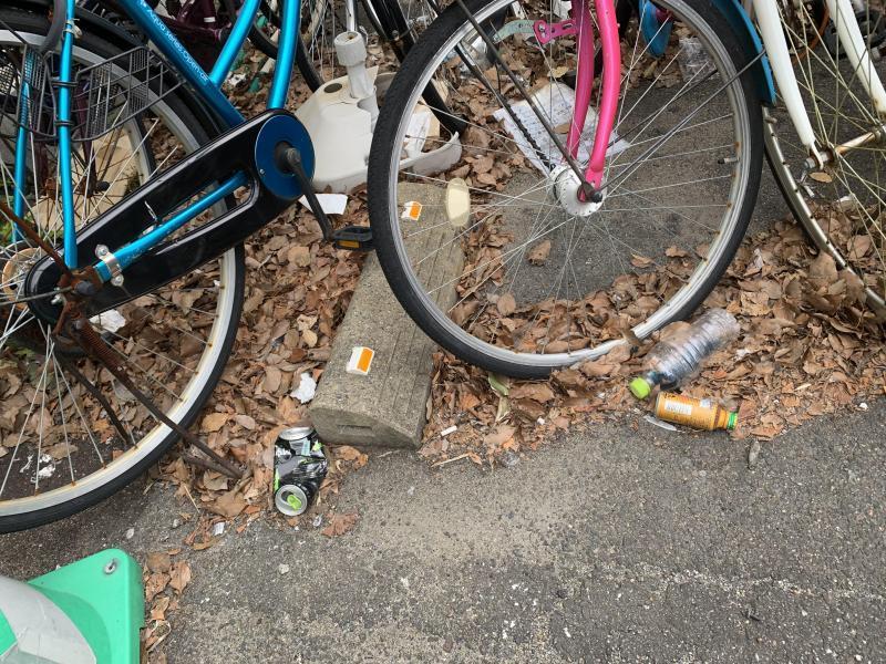 2/23パトランさんとランランコラボそうじ画像