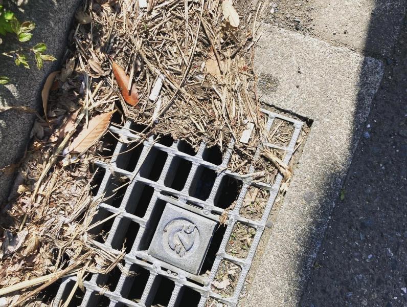 辻堂駅！街ゴミ拾い！画像