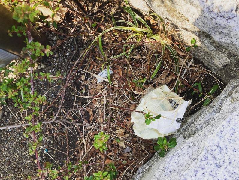 辻堂駅！街ゴミ拾い！画像