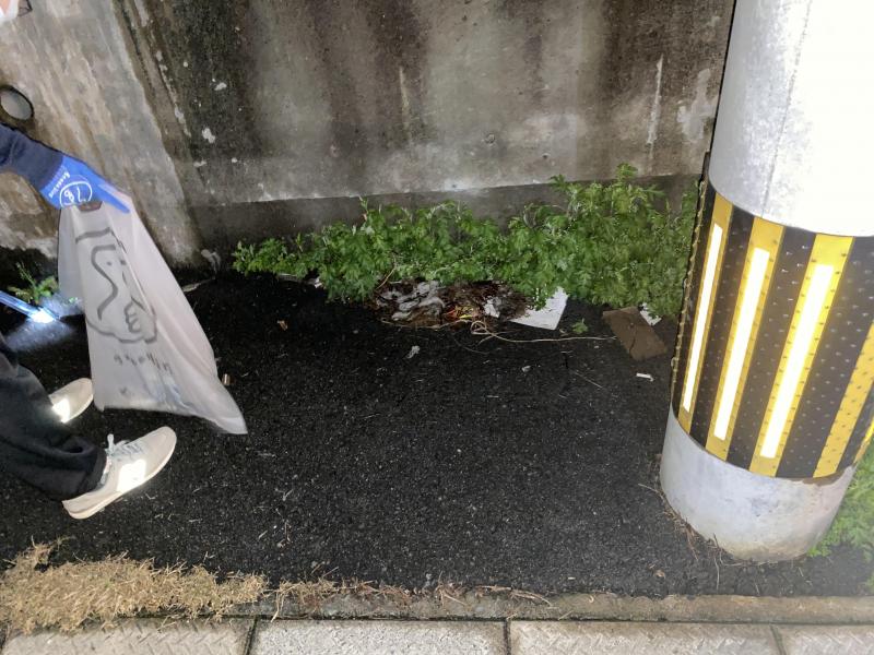 春が感じられるお掃除♪画像