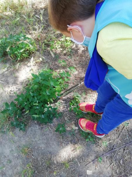 学習お掃除２日目画像