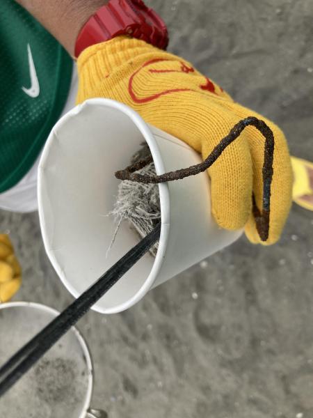 湘南！江の島片瀬西浜海岸ビーチクリーン！画像