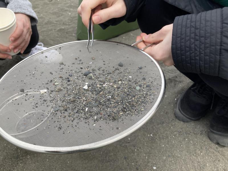 湘南！江の島片瀬西浜海岸ビーチクリーン！画像