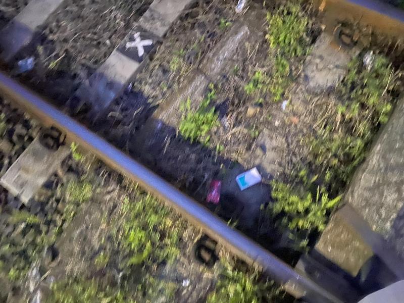 春です　暖かくなってきました画像