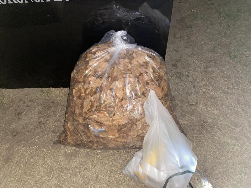 春です　暖かくなってきました画像