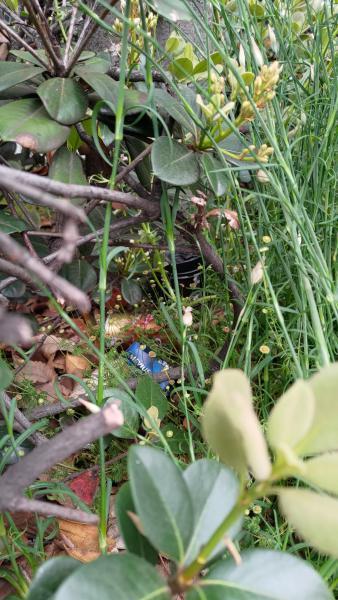 【北新地】書くことに困る定例おそうじ【4月第4土曜日】画像