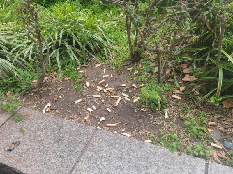 【北新地】書くことに困る定例おそうじ【4月第4土曜日】画像