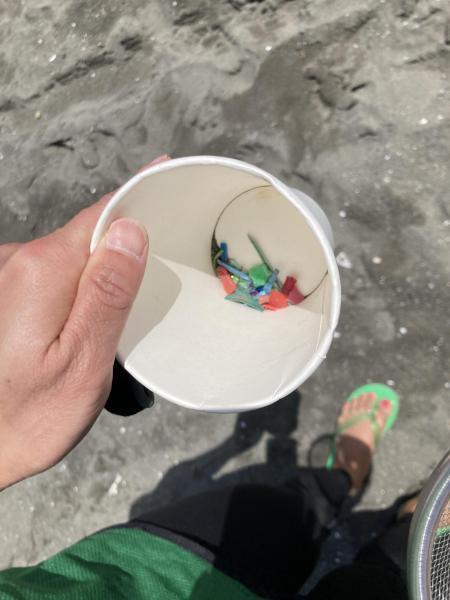 湘南！江の島片瀬西浜海岸ビーチクリーン！画像