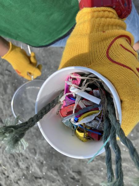 湘南！江の島片瀬西浜海岸ビーチクリーン！画像
