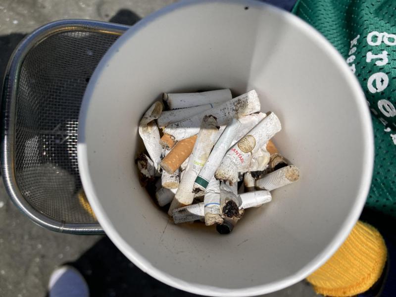 湘南！江の島片瀬西浜海岸ビーチクリーン！画像