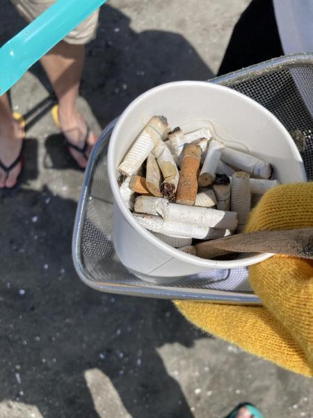 湘南！江の島片瀬西浜海岸ビーチクリーン！画像