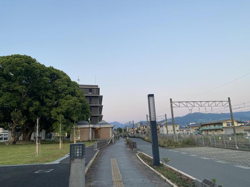 明るくなってきました。　いつもよりも画像