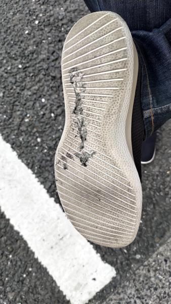 【北新地】ごみゼロ＆定例おそうじ【5月第4土曜日】画像