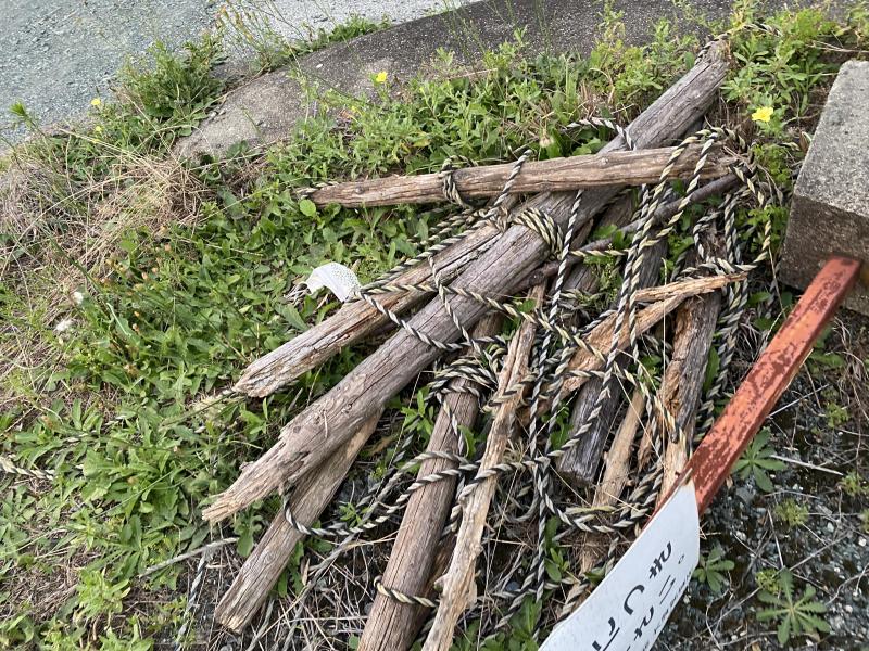 梅雨の晴れ間画像