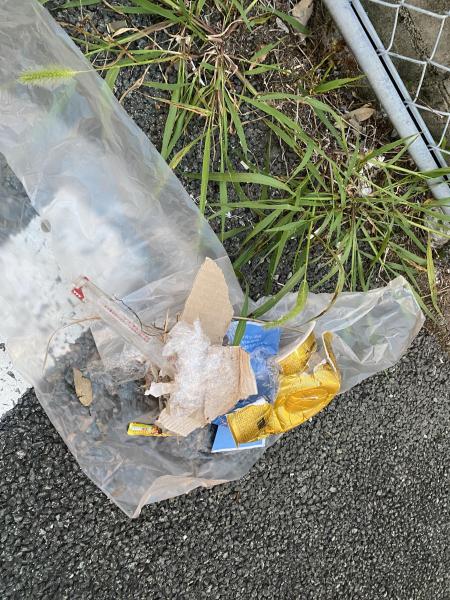 梅雨の晴れ間画像