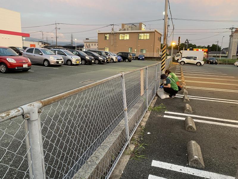 梅雨の晴れ間画像