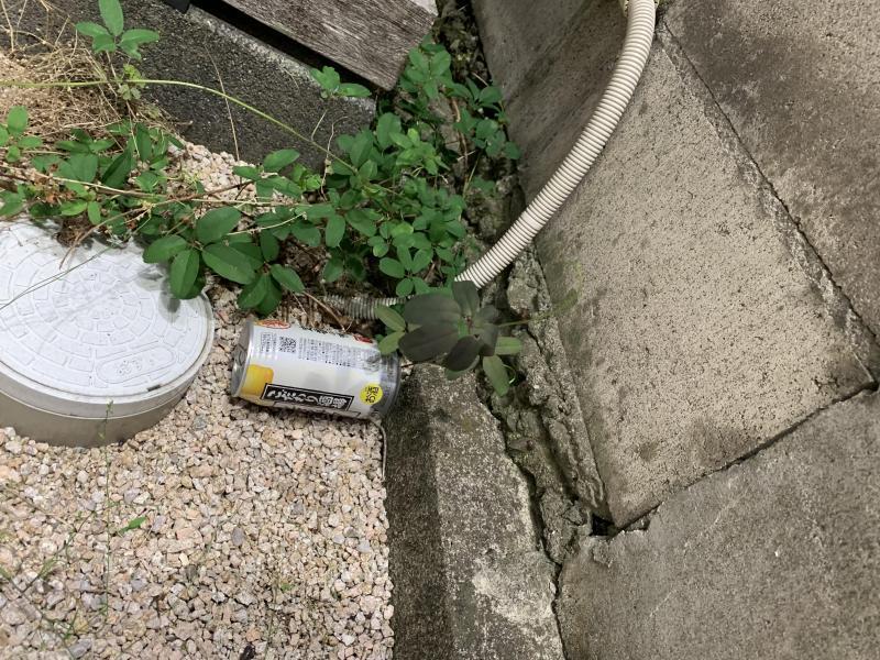 6/15佐賀まちなか夜そうじ画像