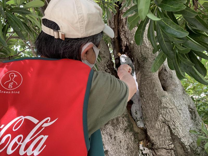 5/29佐賀日曜昼前そうじ画像