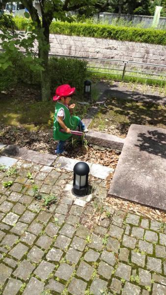 6/26(日)佐賀日曜昼前そうじ画像