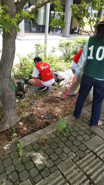 6/26(日)佐賀日曜昼前そうじ画像