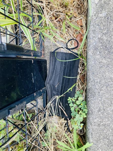 辻堂駅！街ゴミ拾い！画像