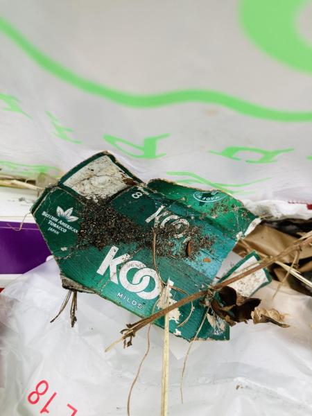 辻堂駅！街ゴミ拾い！画像