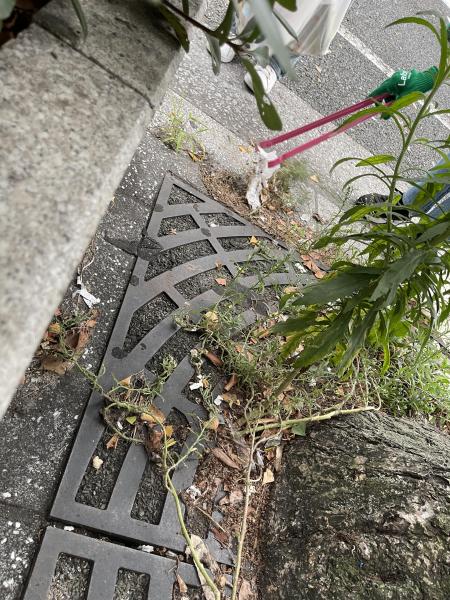 はじめての心斎橋夜そうじ画像