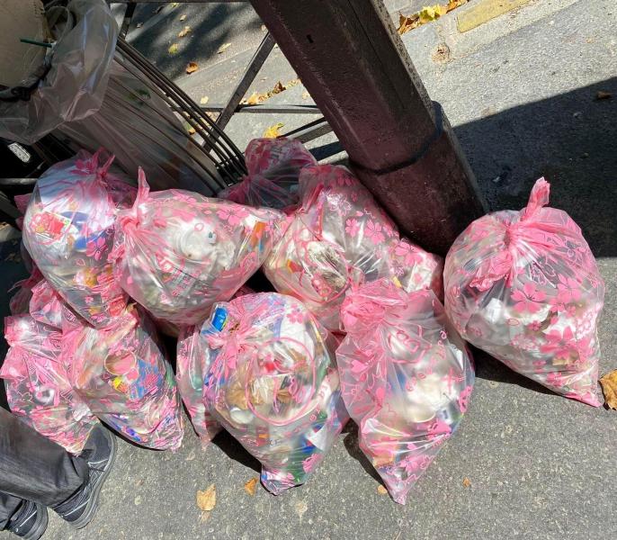 今月も日本から参加！画像