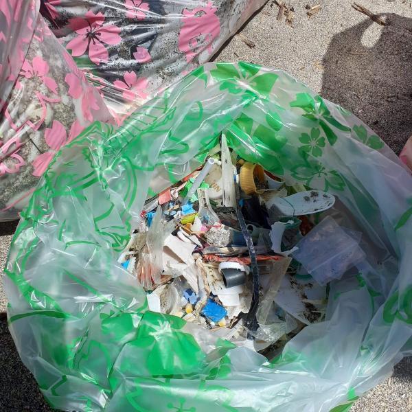 鎌倉腰越！プラスチックビーチクリーン！画像