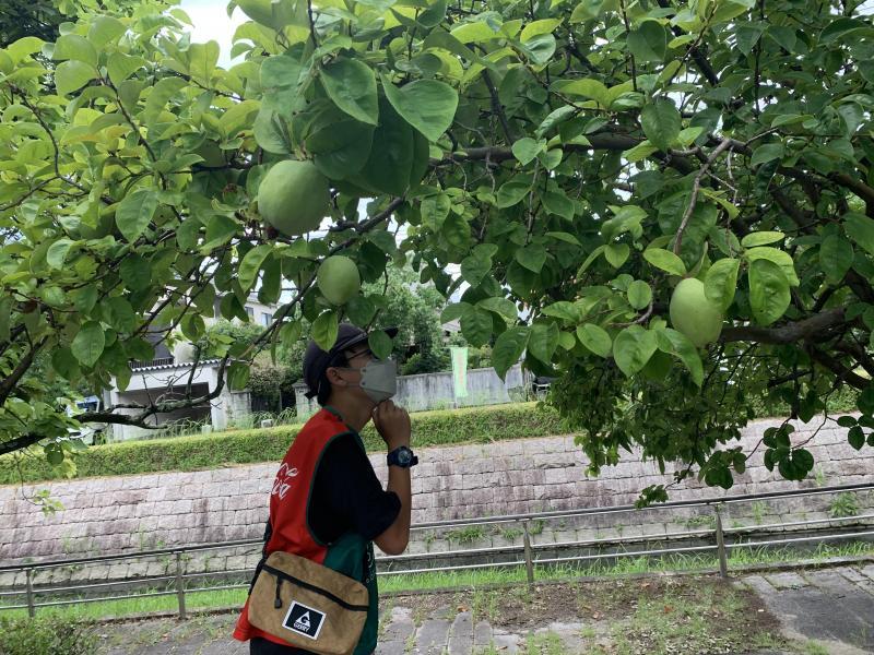 7/31(日)佐賀日曜昼前そうじ画像