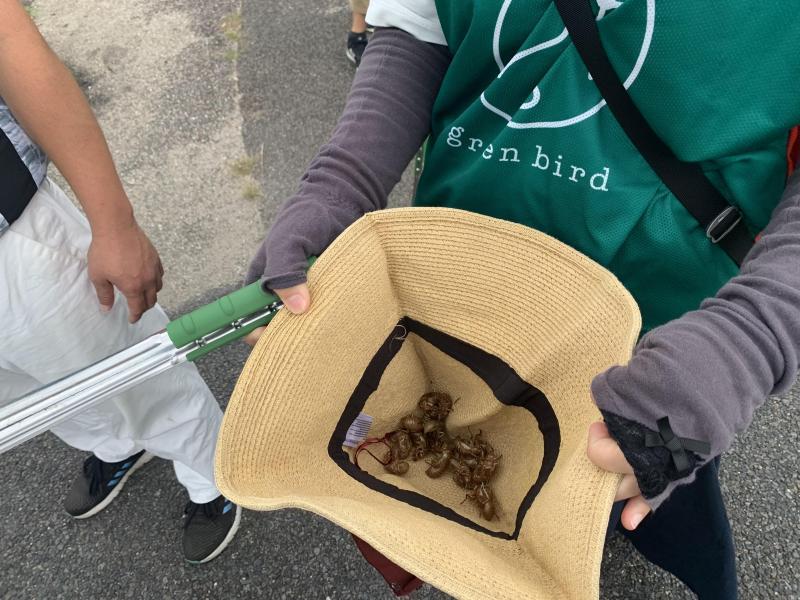 7/31(日)佐賀日曜昼前そうじ画像