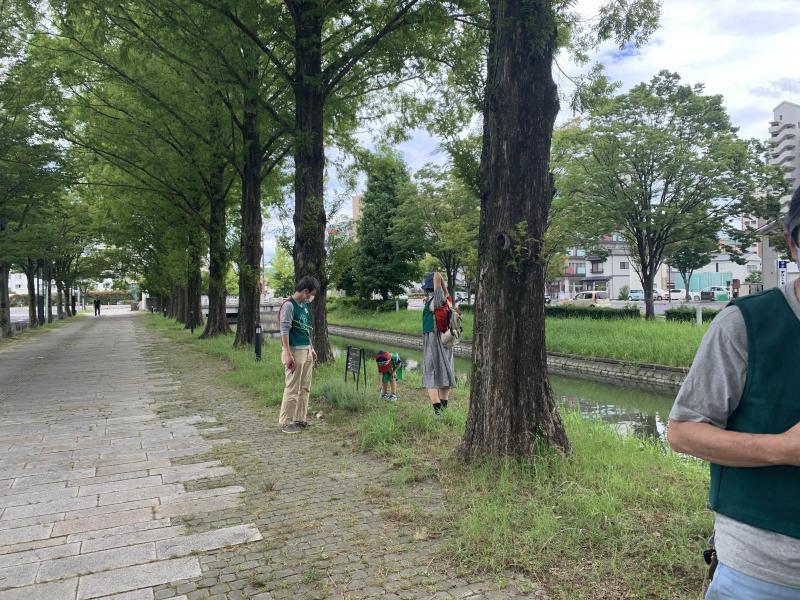 7/31(日)佐賀日曜昼前そうじ画像