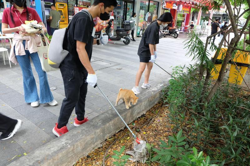 5th Green Bird Bangkok画像