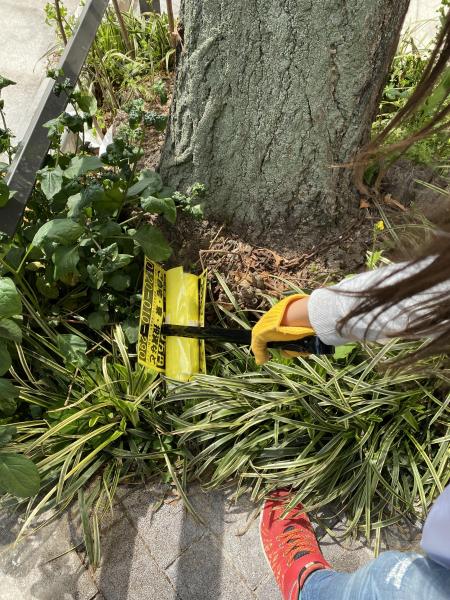 ゴミ拾いをしている中での唯一ともいえるグチ画像