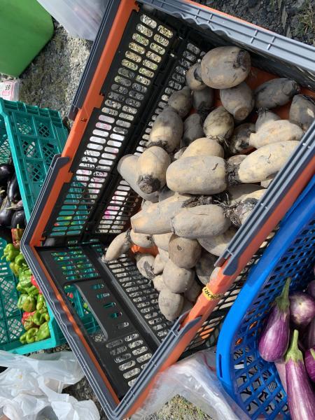 8/28(日)佐賀日曜昼前そうじ(8月唯一のおそうじでした)画像