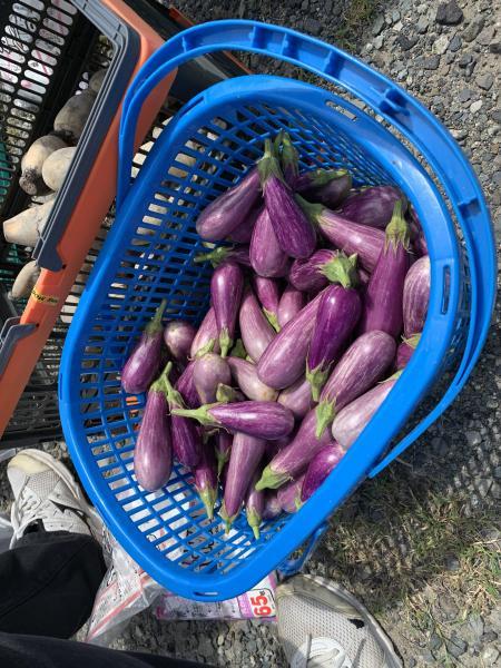 8/28(日)佐賀日曜昼前そうじ(8月唯一のおそうじでした)画像