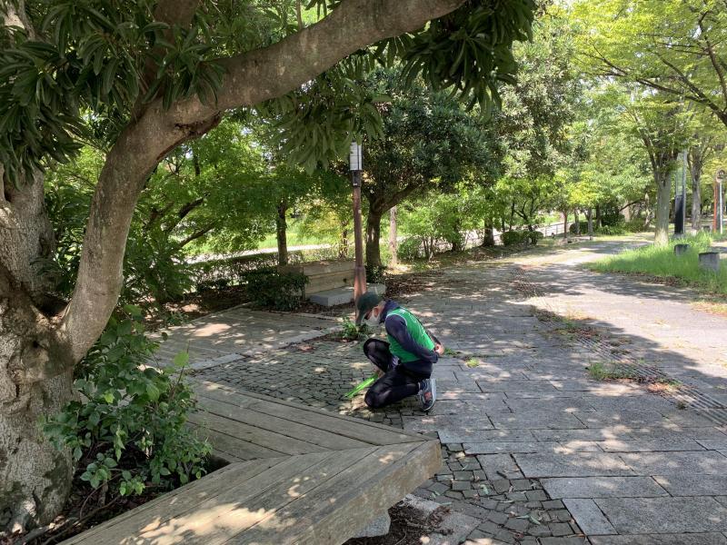 8/28(日)佐賀日曜昼前そうじ(8月唯一のおそうじでした)画像