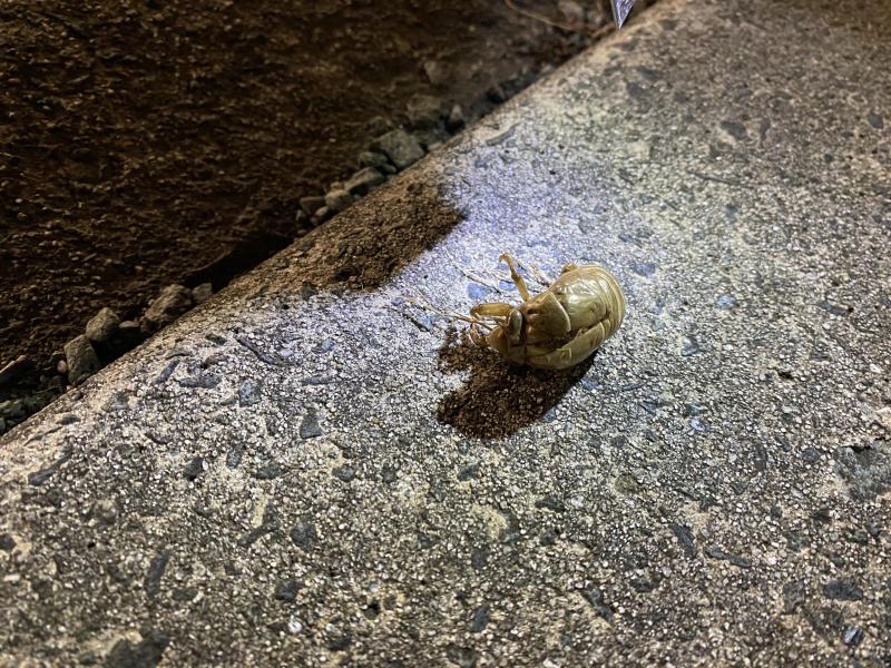 久しぶり掃除ー♪画像