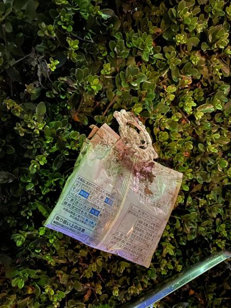 久しぶり掃除ー♪画像