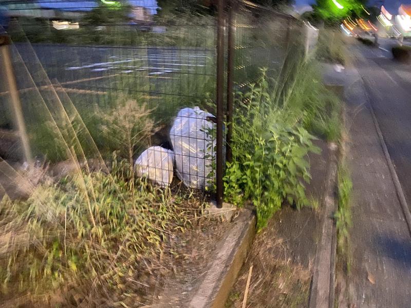 久しぶり掃除ー♪画像