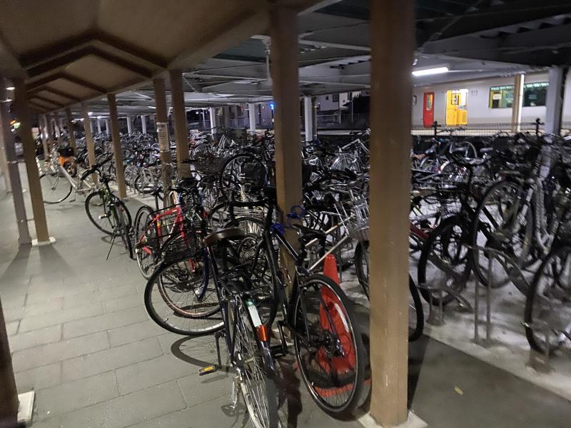 少し寒くなってきましたね。。。。画像