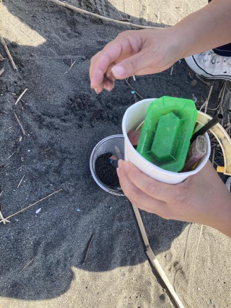 湘南！江の島片瀬西浜海岸マイクロプラスチックビーチクリーン！画像