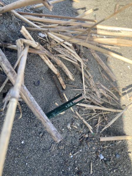 湘南！江の島片瀬西浜海岸マイクロプラスチックビーチクリーン！画像