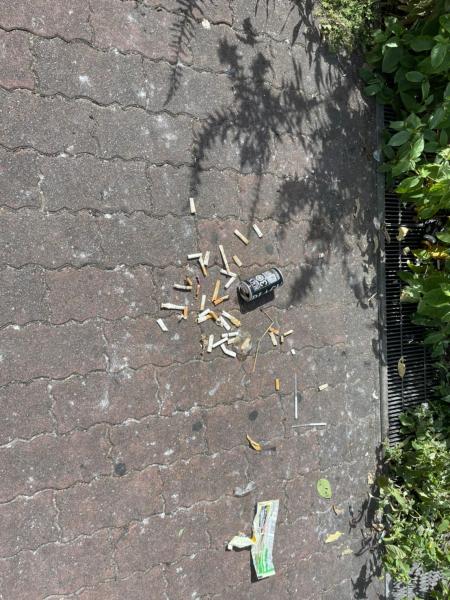 【杉田】定期清掃画像