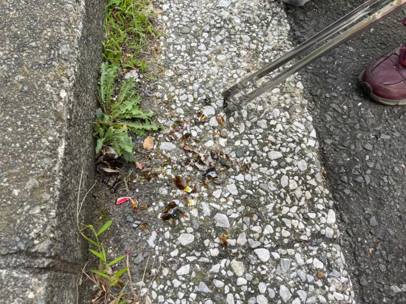 【杉田】定期清掃画像