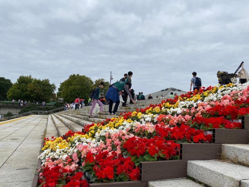 駒沢公園おそうじ画像