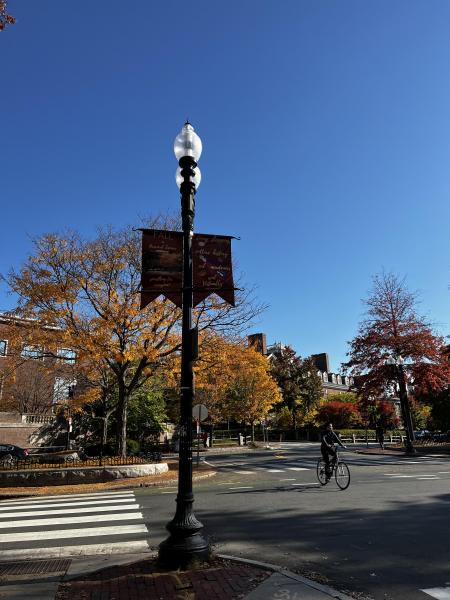 ボストンチームお掃除画像